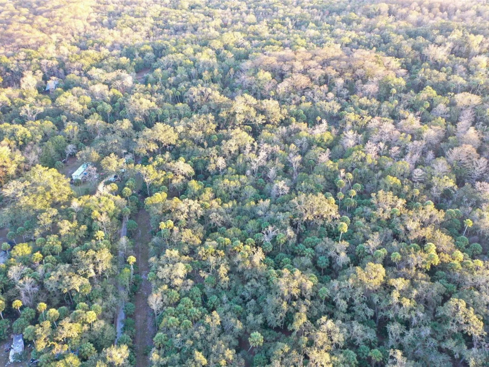 , INVERNESS, FL — photo 42