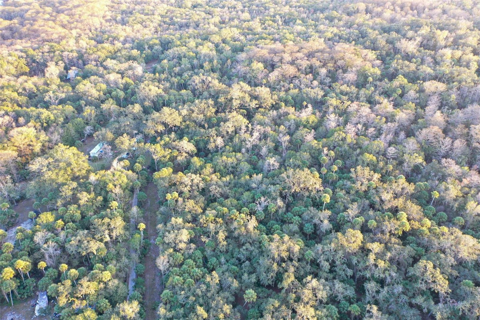 , INVERNESS, FL — photo 41