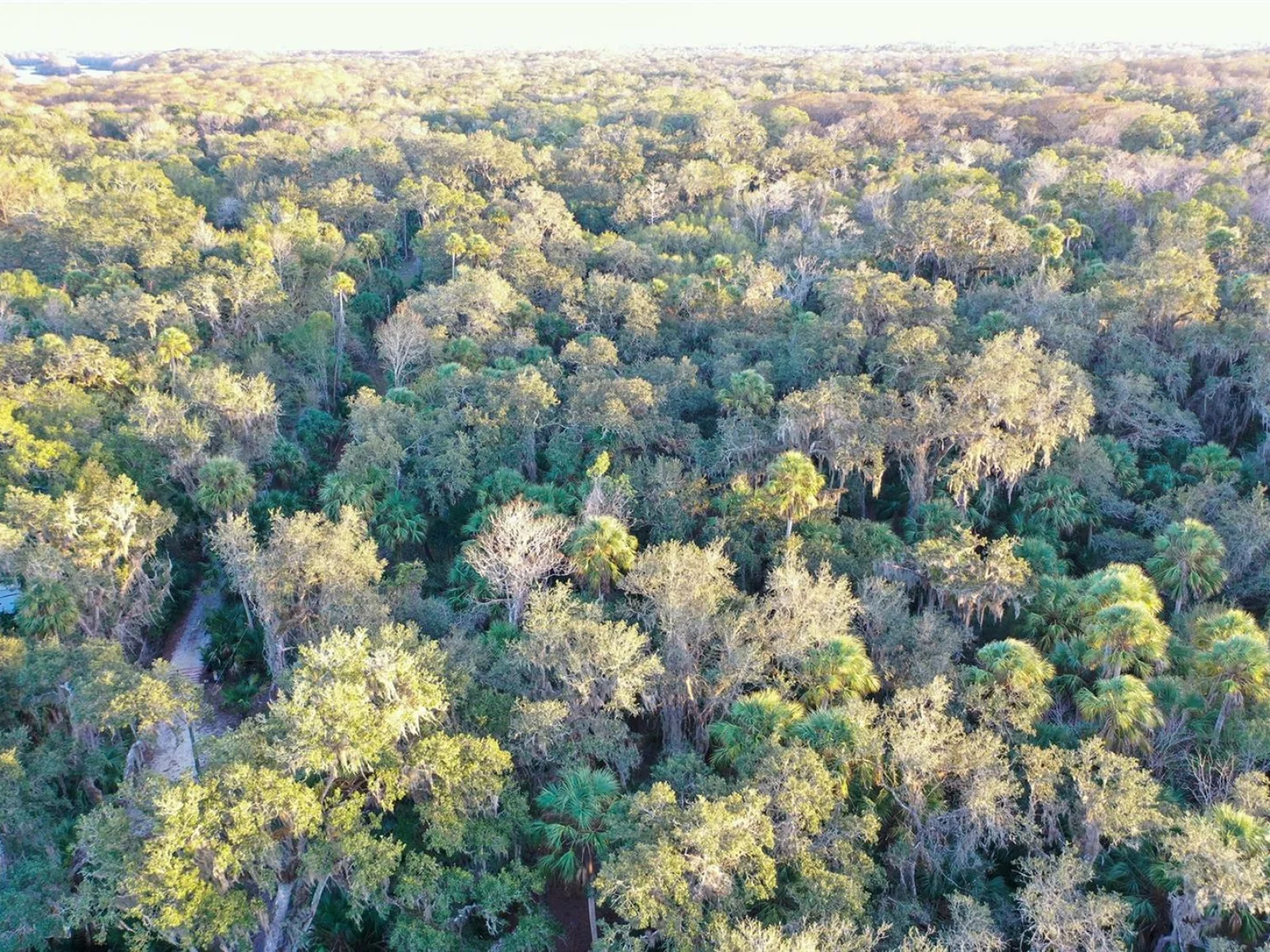 , INVERNESS, FL — photo 43