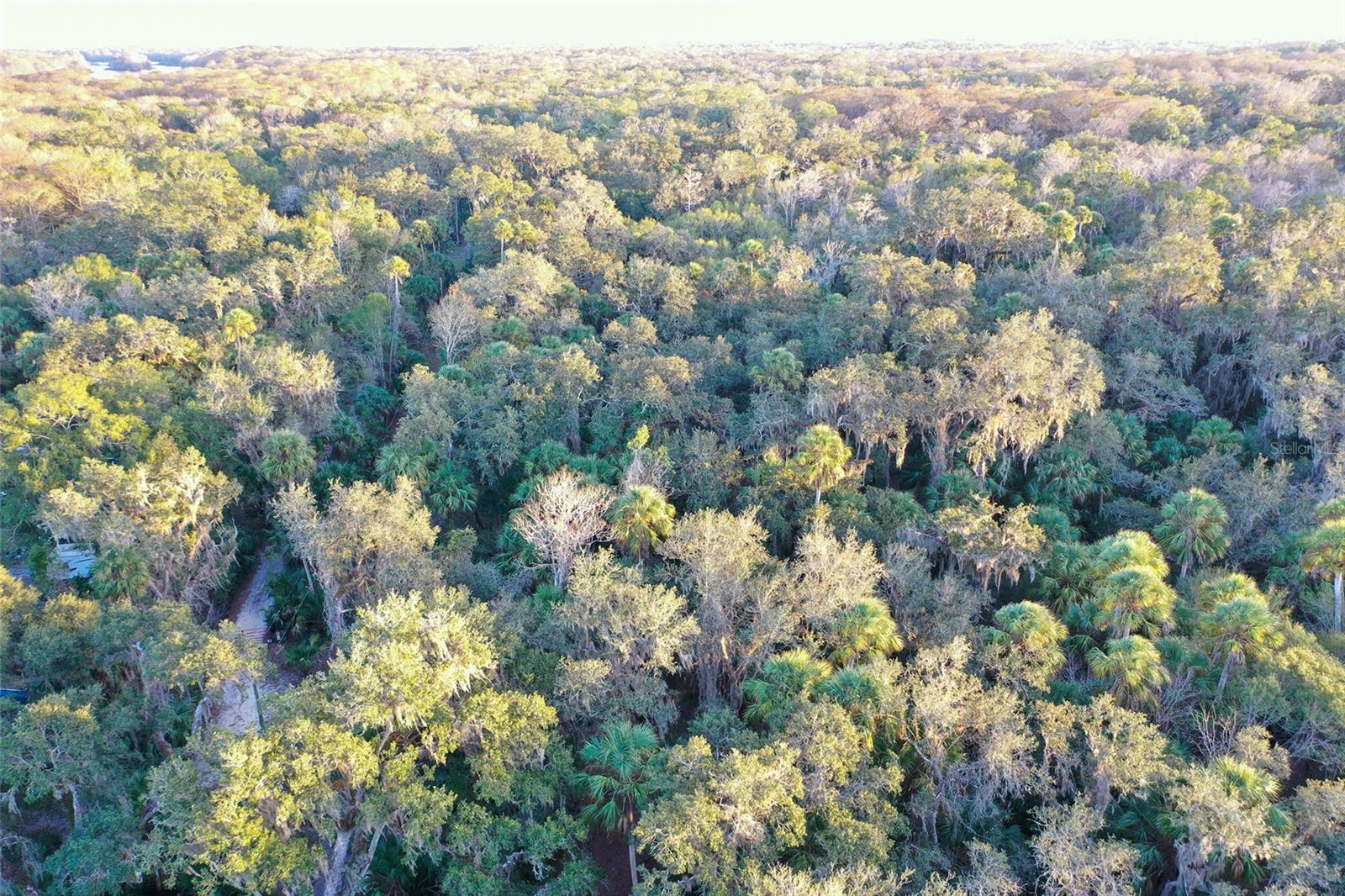 , INVERNESS, FL — photo 44