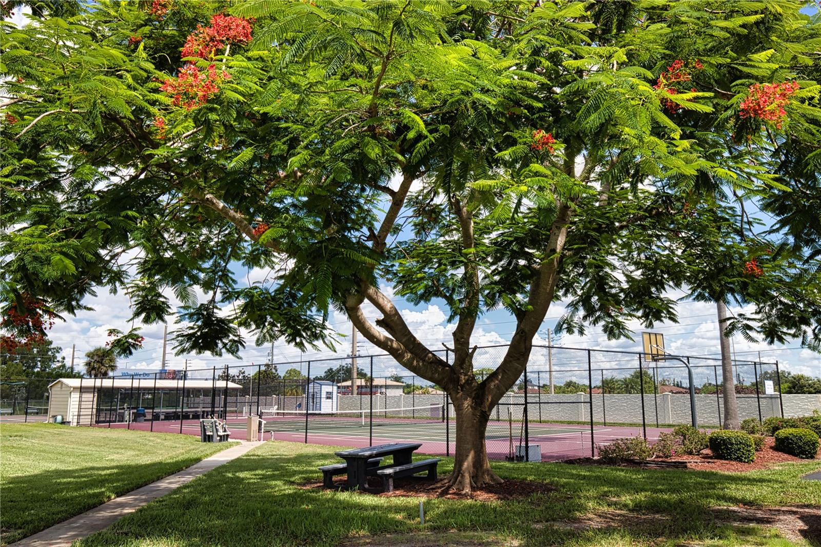 320 LA COSTA, NORTH PORT, FL — photo 59