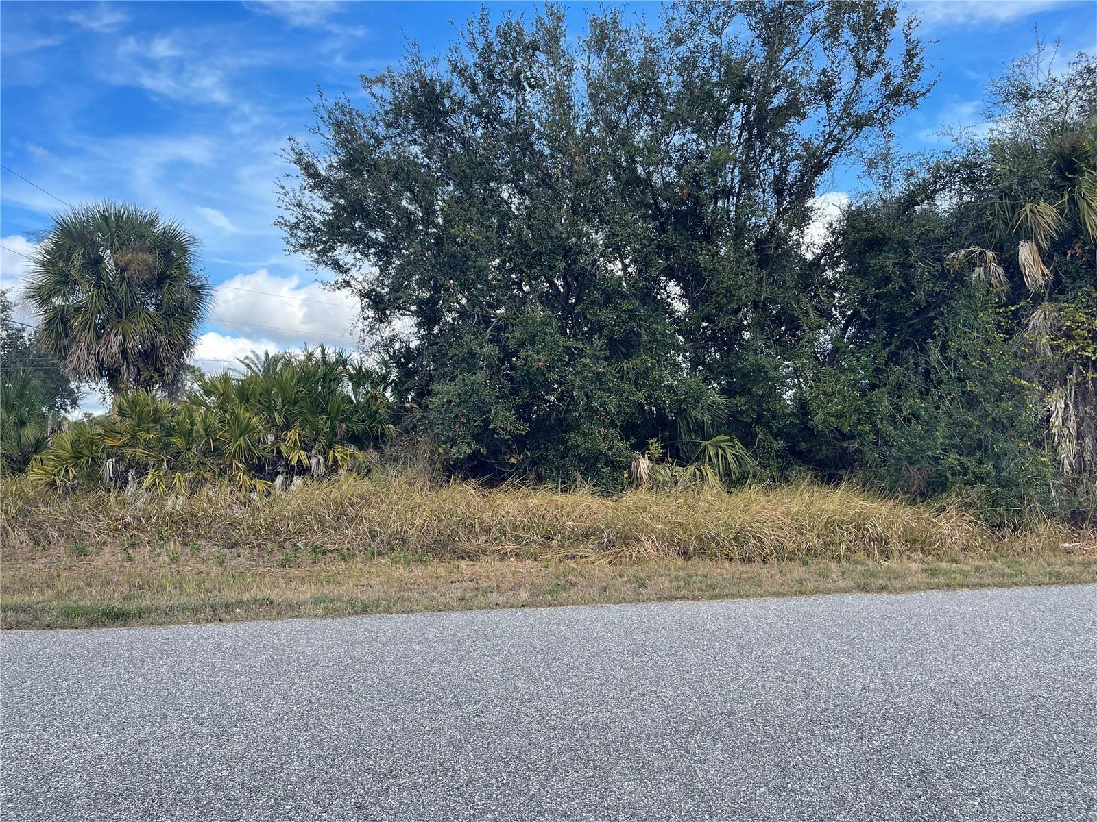 Lot#13 IRONDALE RD, NORTH PORT, FL — photo 2
