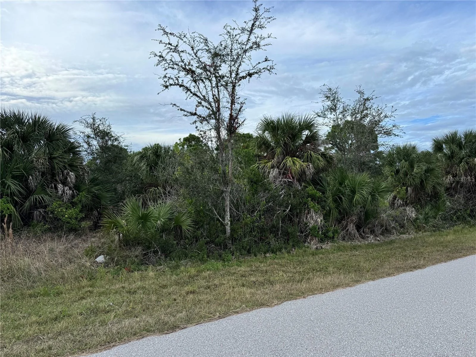 9267 IMPALA CIR, PORT CHARLOTTE, FL — photo 4