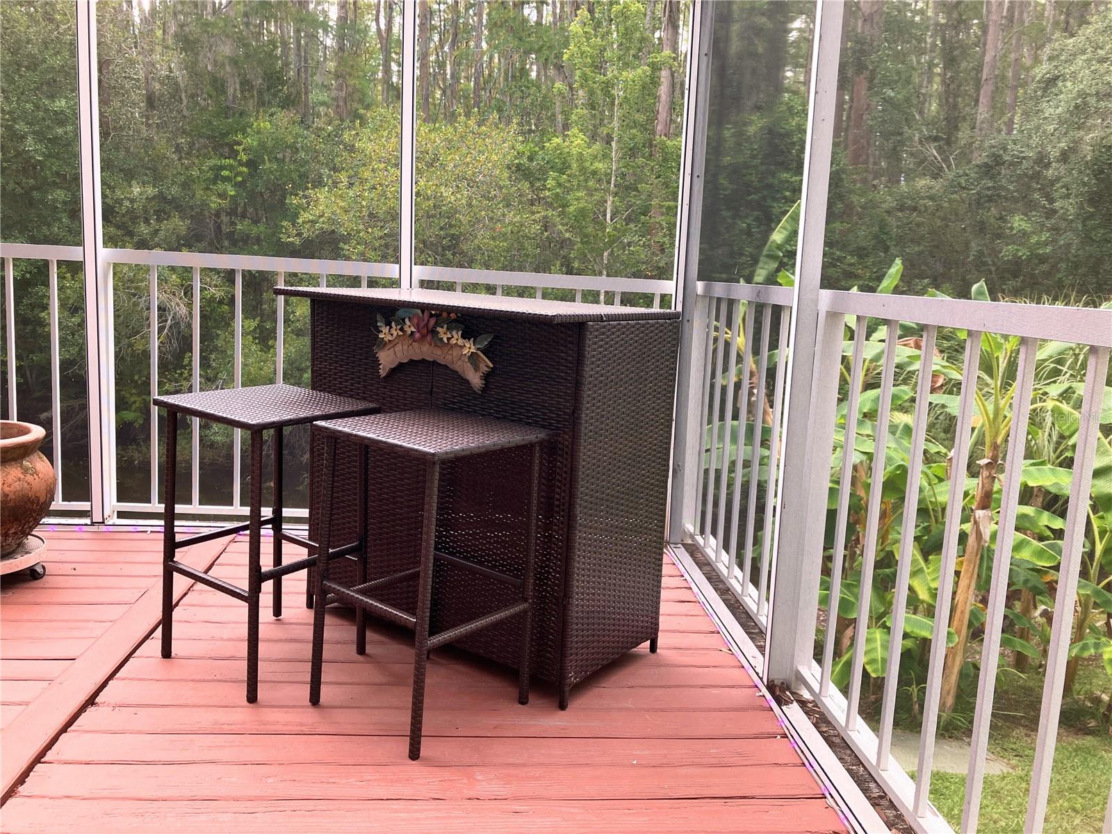 2015 VISTA DEL SOL CIR #108, LUTZ, FL — photo 12