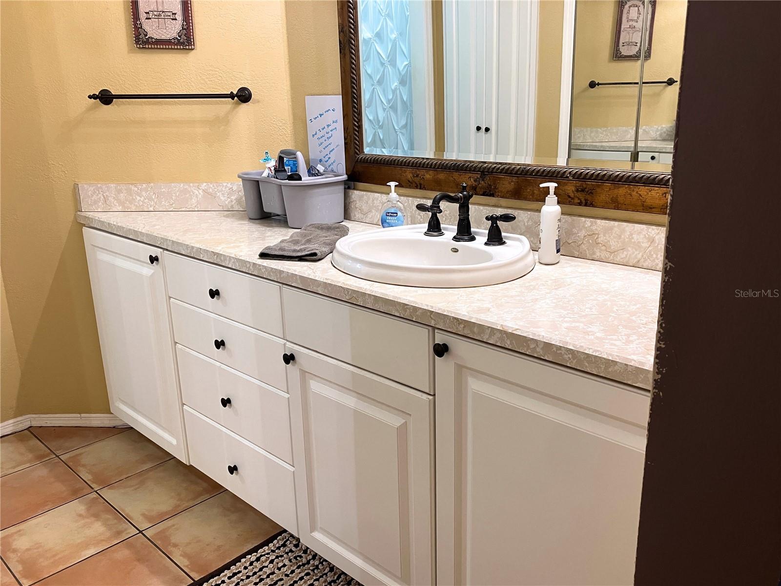 2015 VISTA DEL SOL CIR #108, LUTZ, FL — photo 32