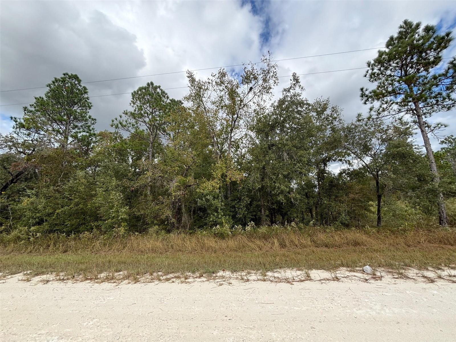 Lot 11 RED MARLIN AVE, WEEKI WACHEE, FL — photo 2