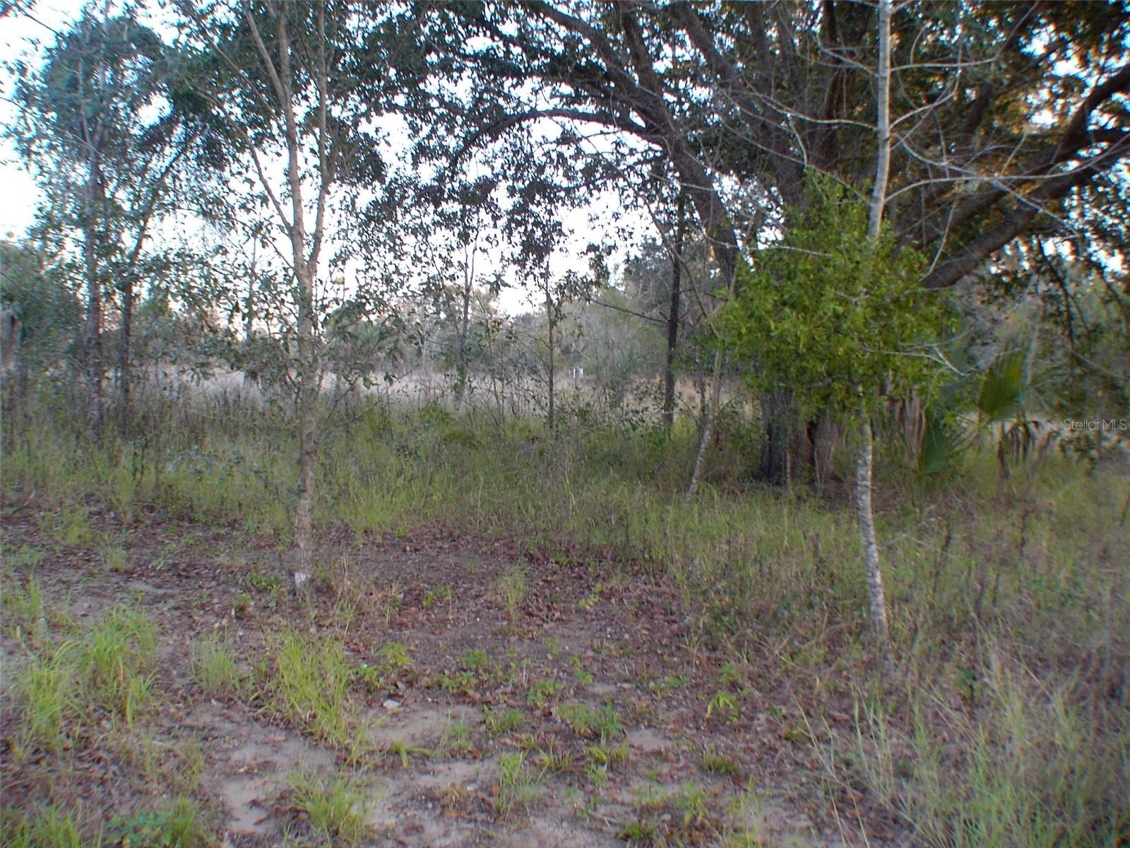 , LADY LAKE, FL