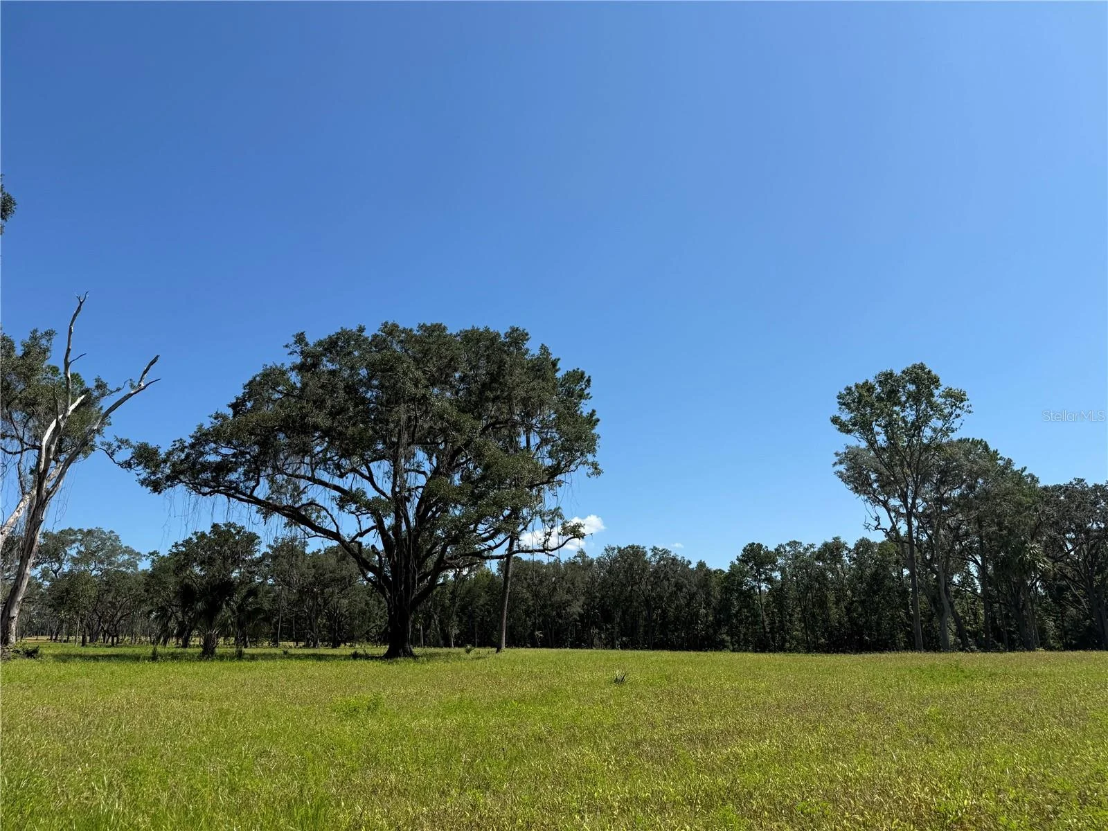 DO #6 (24ac) NW 193RD ST, MICANOPY, FL — photo 2