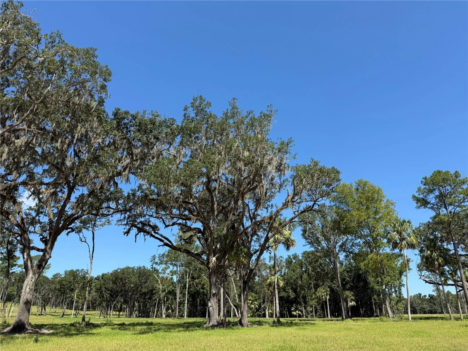 DO #6 (24ac) NW 193RD ST, MICANOPY, FL — photo 8