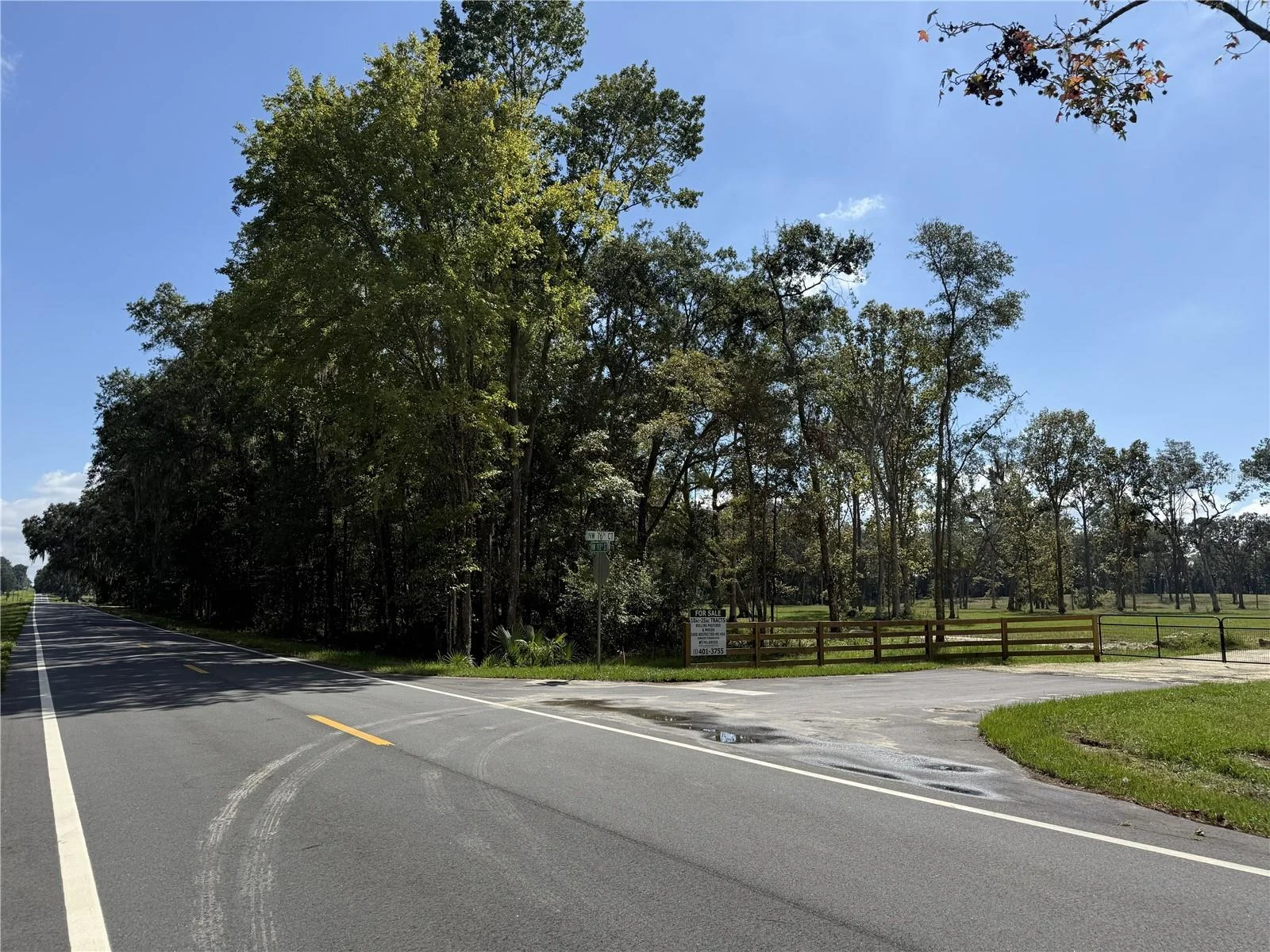 DO #6 (24ac) NW 193RD ST, MICANOPY, FL — photo 20
