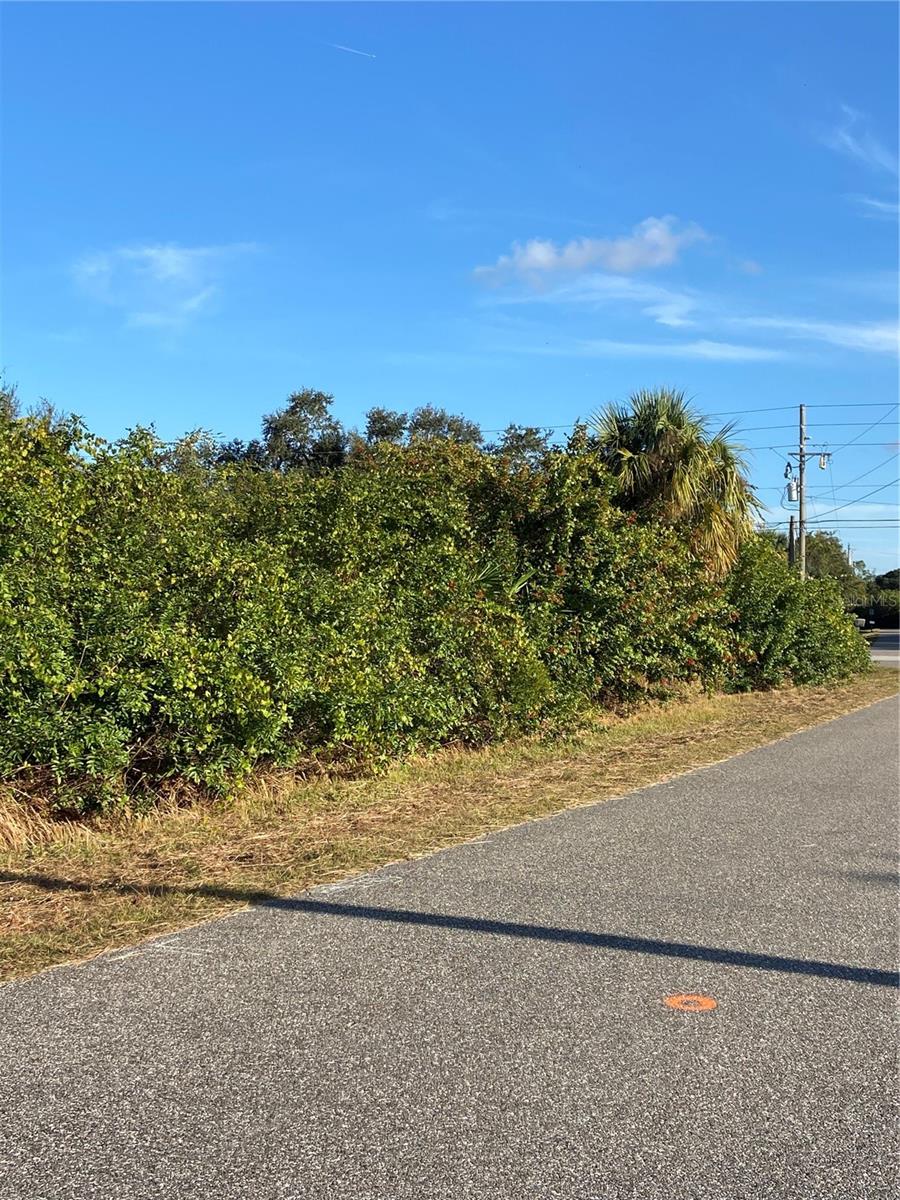 Lot 19 EMBASSY RD, NORTH PORT, FL — photo 4