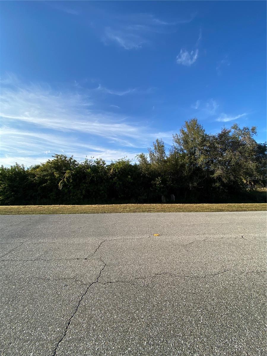 Lot 19 EMBASSY RD, NORTH PORT, FL — photo 5