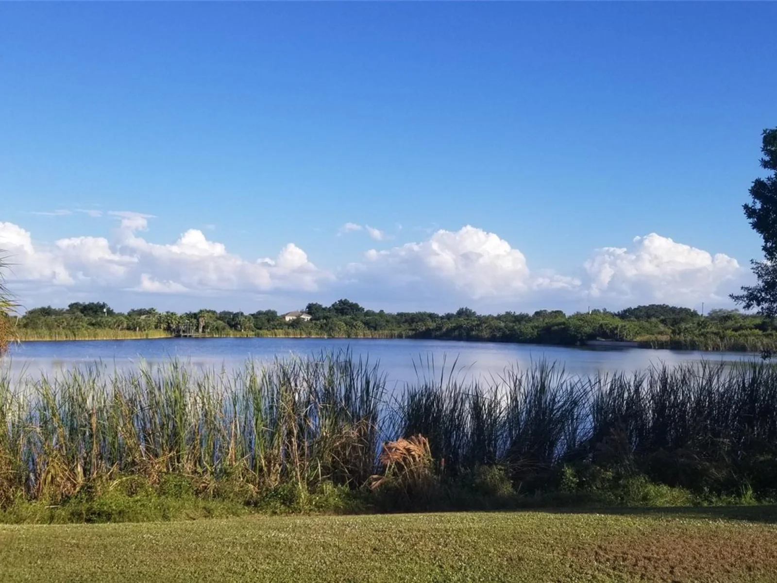 14143 SOUTH BEND AVE, PORT CHARLOTTE, FL — photo 57