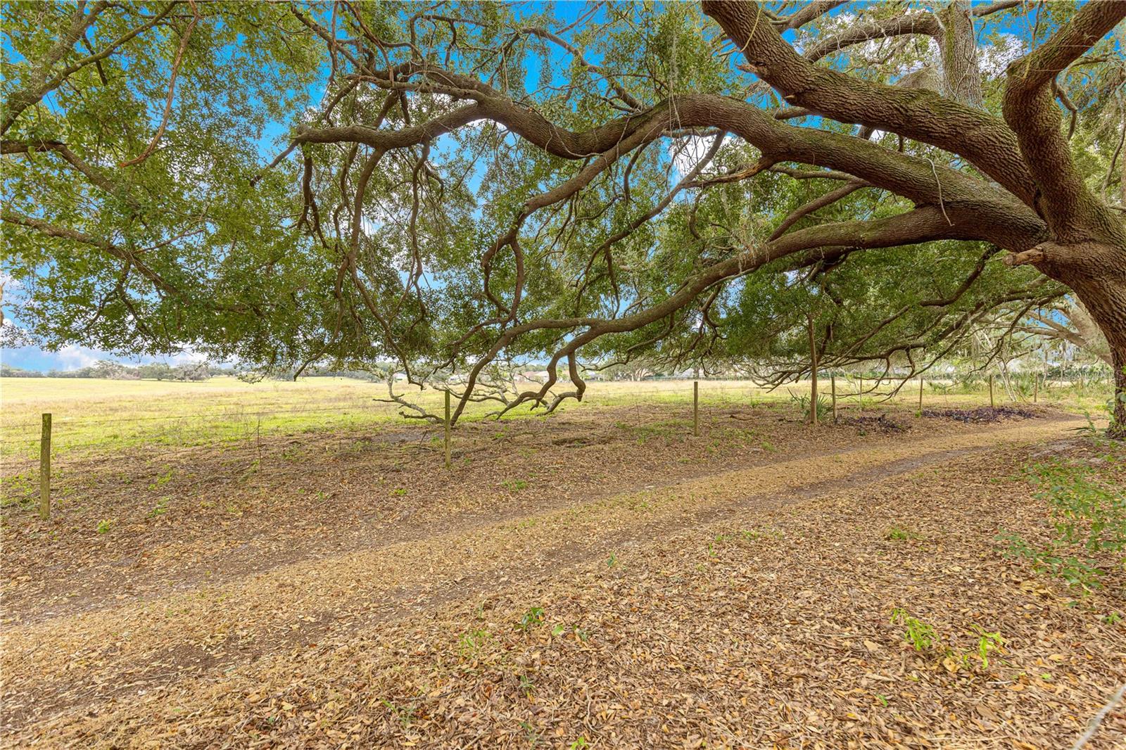 17187 SE 116TH COURT RD, SUMMERFIELD, FL — photo 45