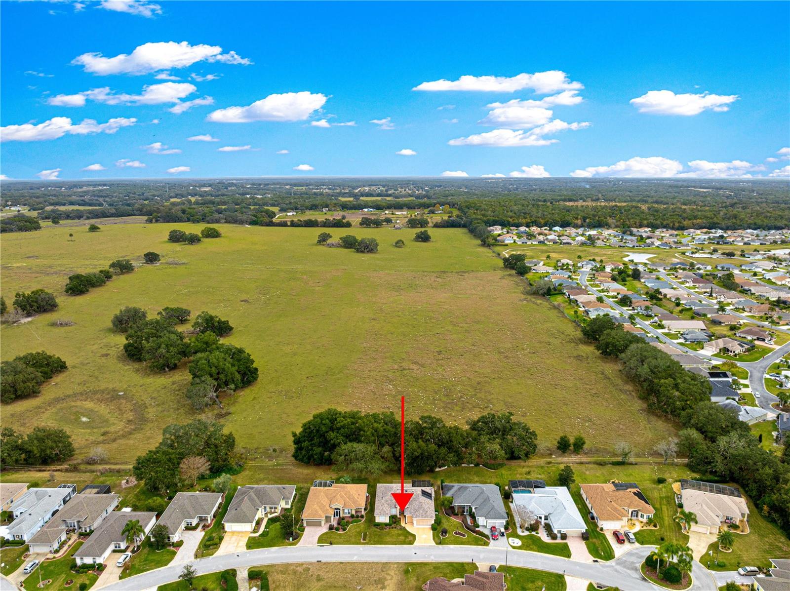17187 SE 116TH COURT RD, SUMMERFIELD, FL — photo 47