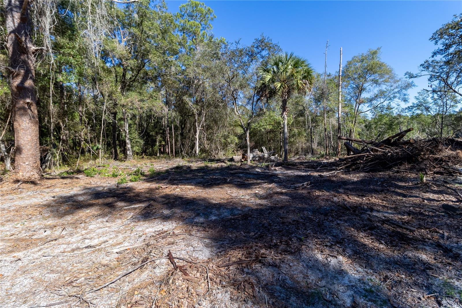 815 NE 145TH AVENUE RD, SILVER SPRINGS, FL — photo 15