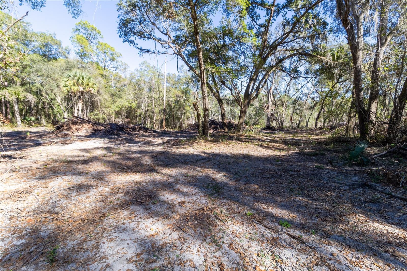 815 NE 145TH AVENUE RD, SILVER SPRINGS, FL — photo 17