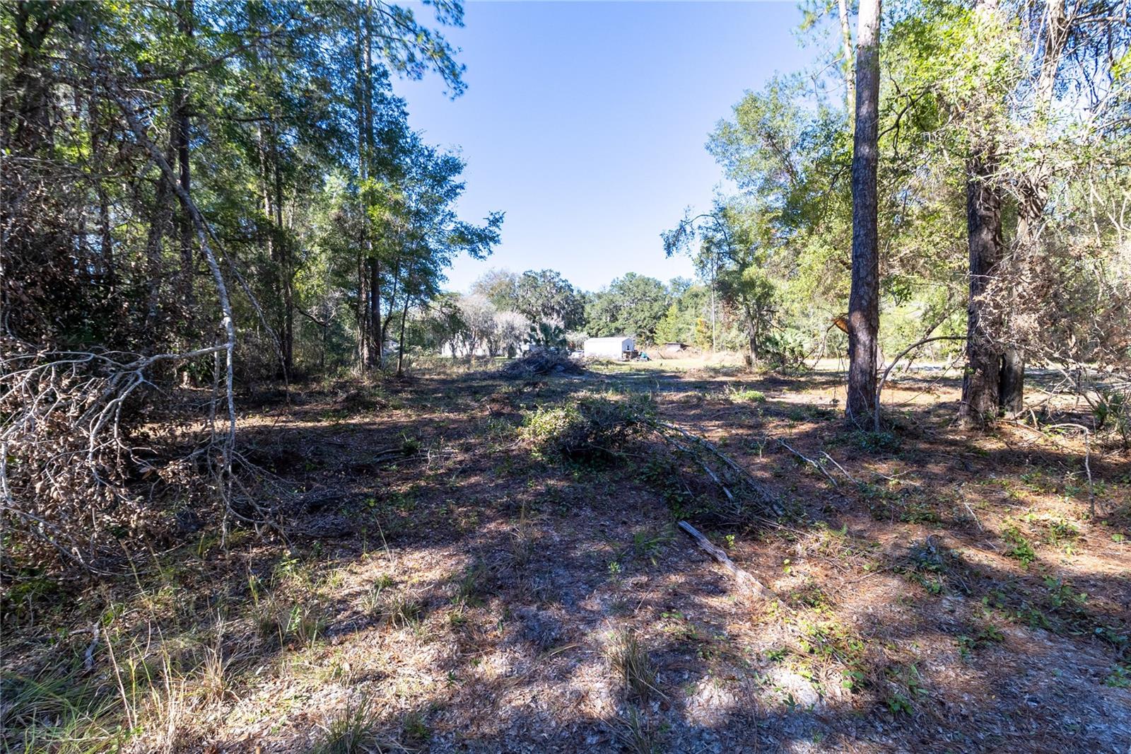 815 NE 145TH AVENUE RD, SILVER SPRINGS, FL — photo 18