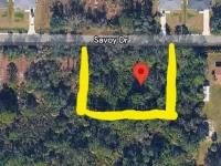27113 SAVOY DR — photo 2