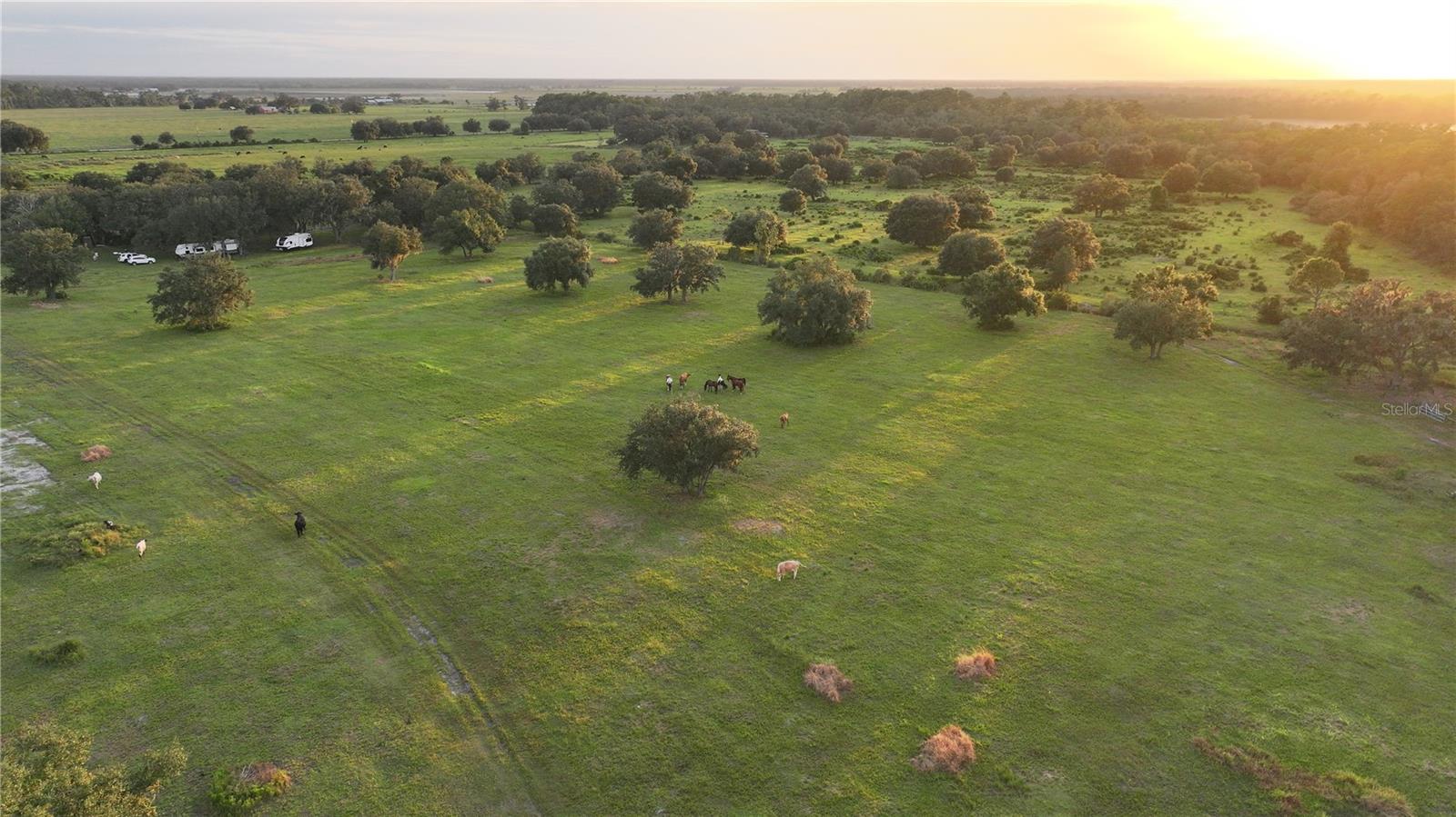 45855 CLAY GULLY RD, MYAKKA CITY, FL — photo 2