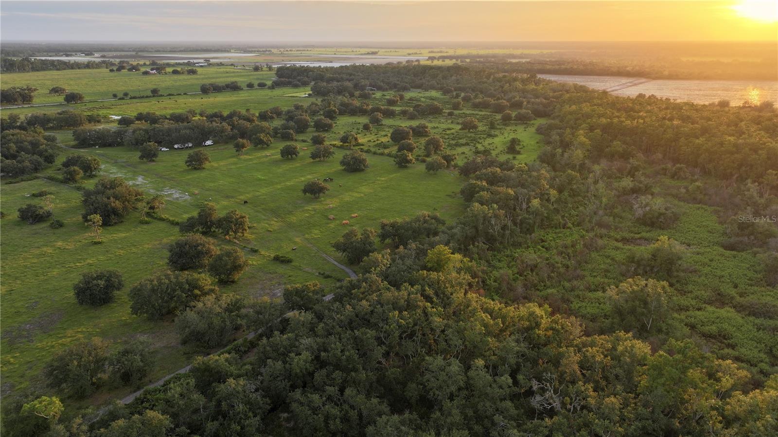 45855 CLAY GULLY RD, MYAKKA CITY, FL — photo 3