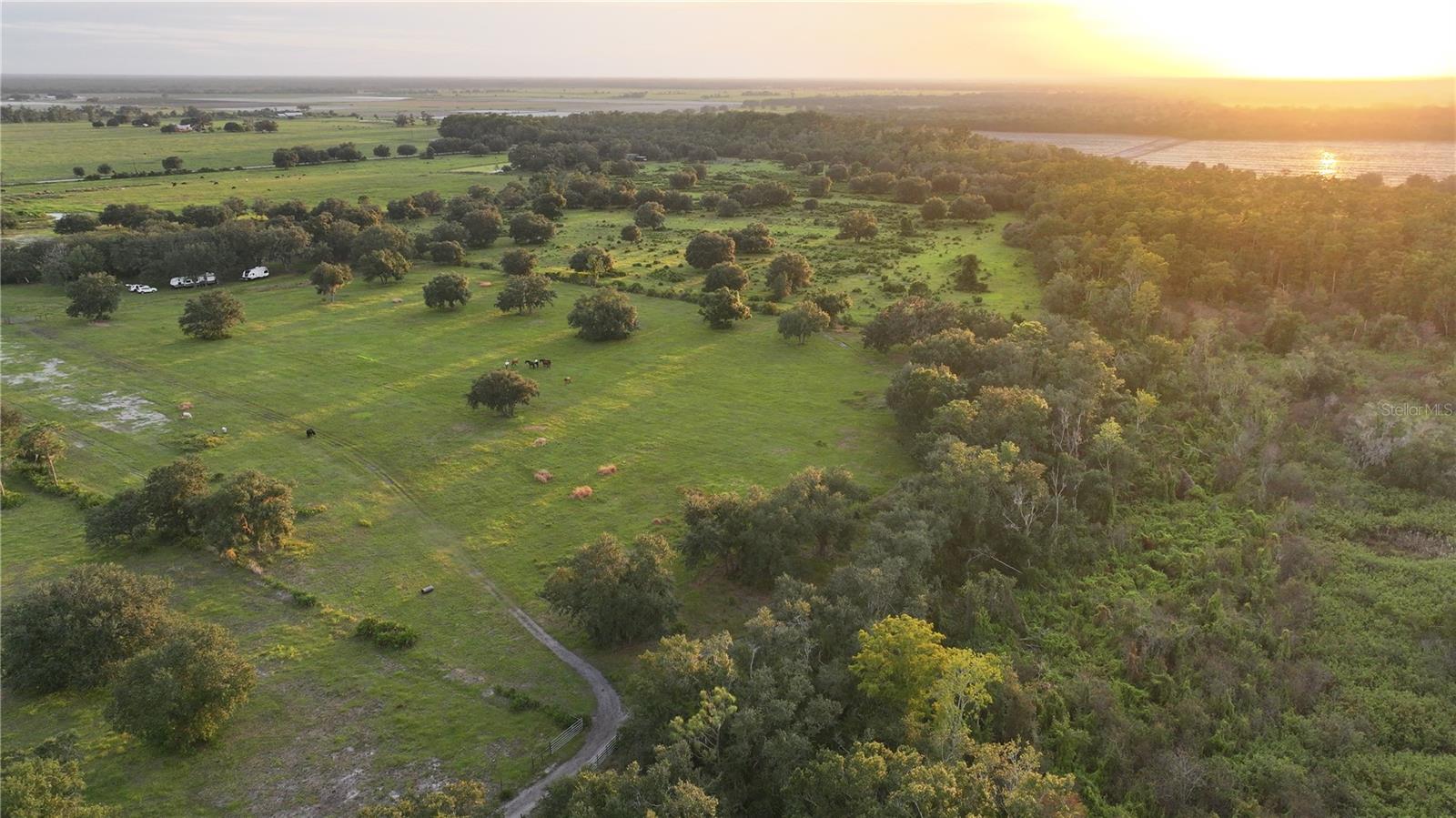 45855 CLAY GULLY RD, MYAKKA CITY, FL — photo 4