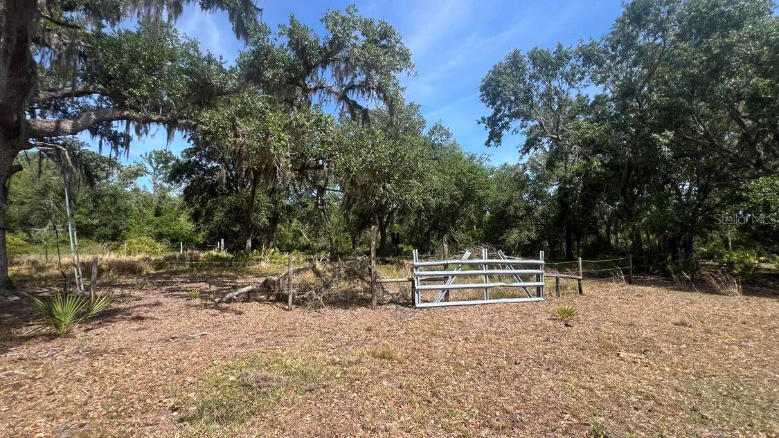 45855 CLAY GULLY RD, MYAKKA CITY, FL — photo 8