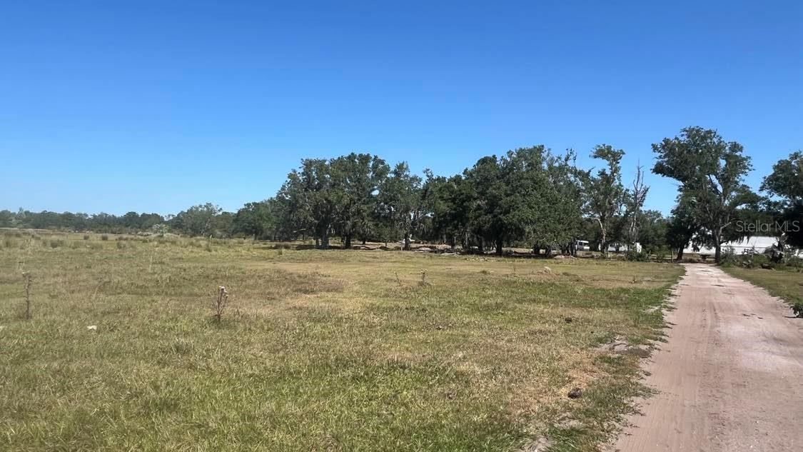 45855 CLAY GULLY RD, MYAKKA CITY, FL — photo 9