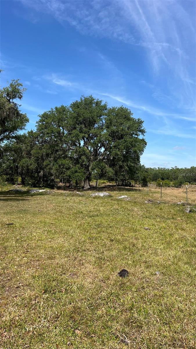 45855 CLAY GULLY RD, MYAKKA CITY, FL — photo 10