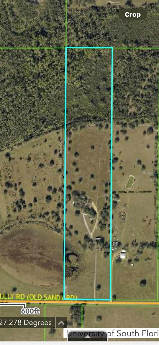 45855 CLAY GULLY RD, MYAKKA CITY, FL — photo 12
