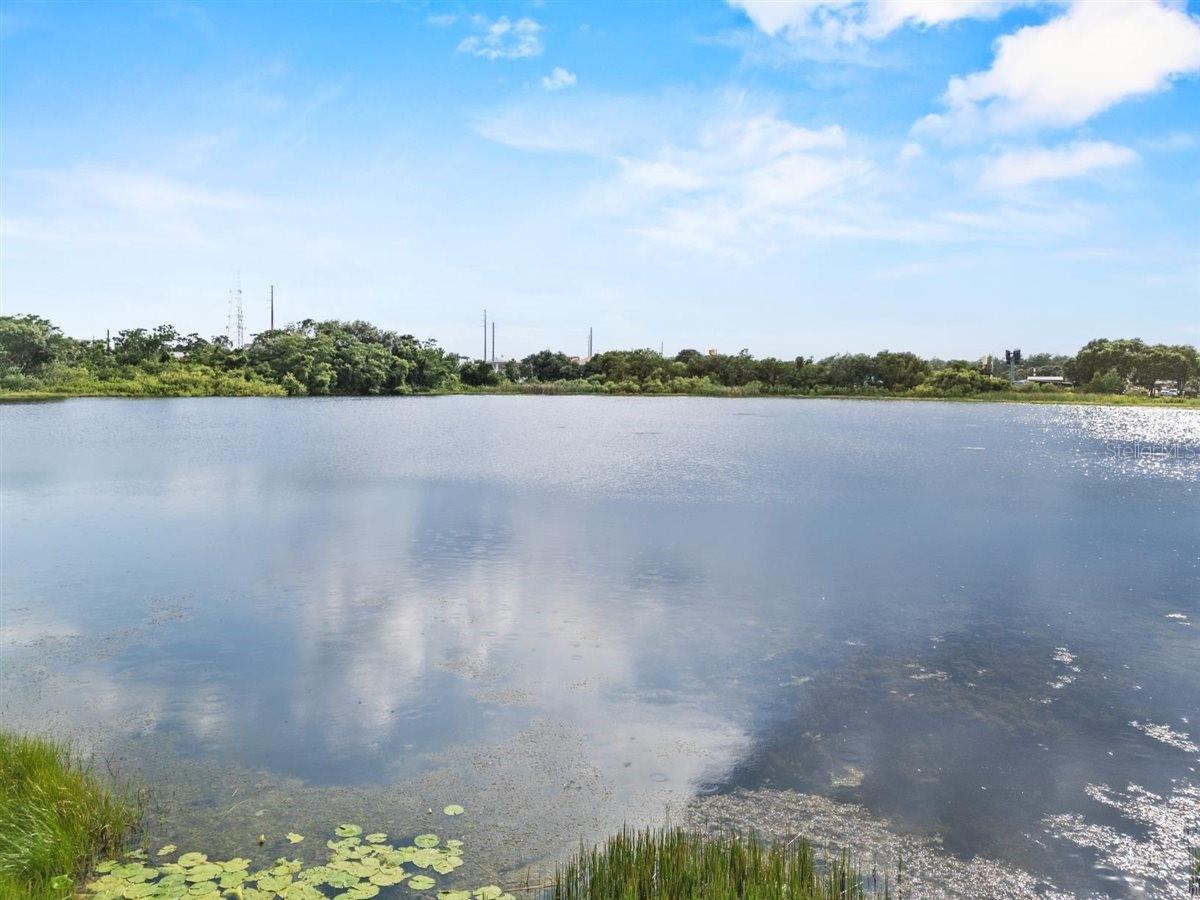 8120 GONDOLA DR, ORLANDO, FL — photo 43