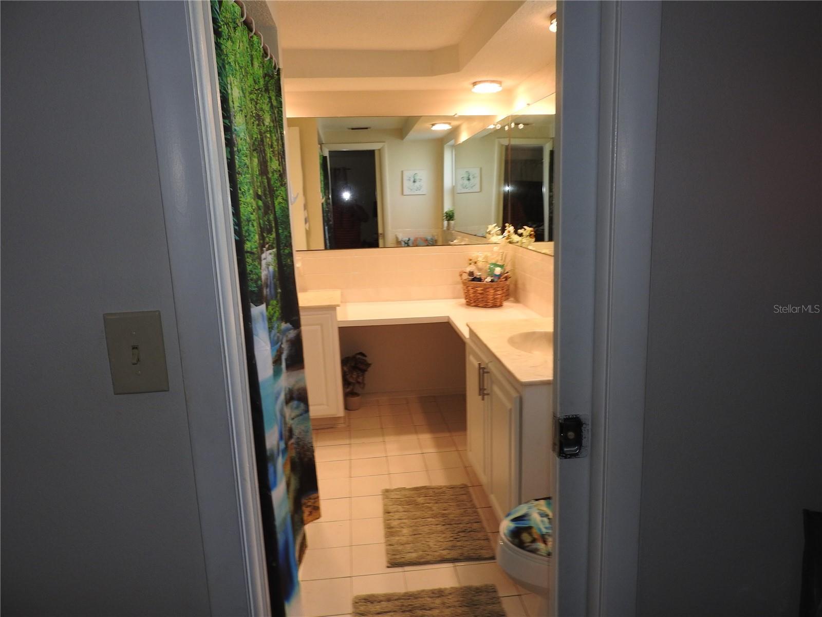 1324 VIKING DR, HOLIDAY, FL — photo 23