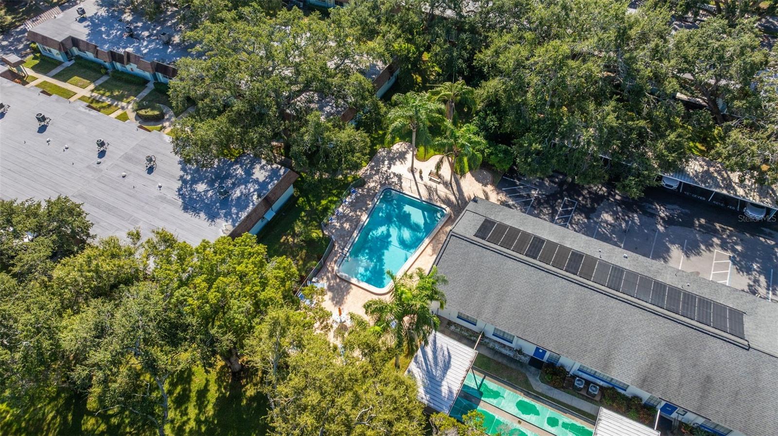 300 CLYDE LN #106, DUNEDIN, FL — photo 29