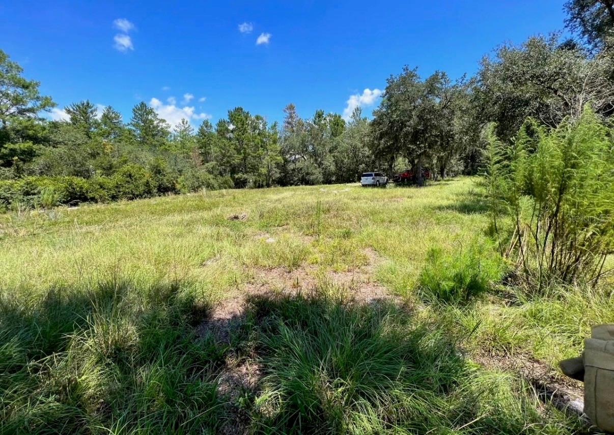 STEWARD RD, EUSTIS, FL — photo 3