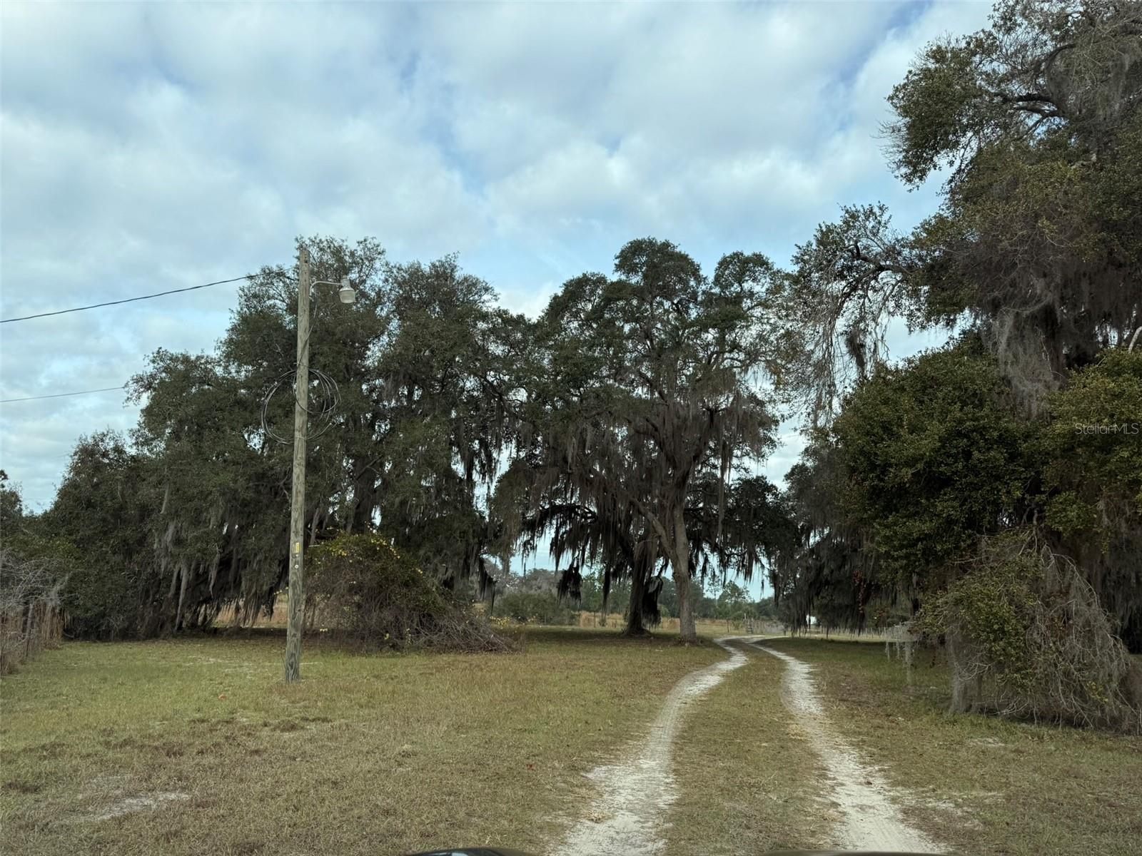 29605 FULLERVILLE RD, DELAND, FL — photo 5