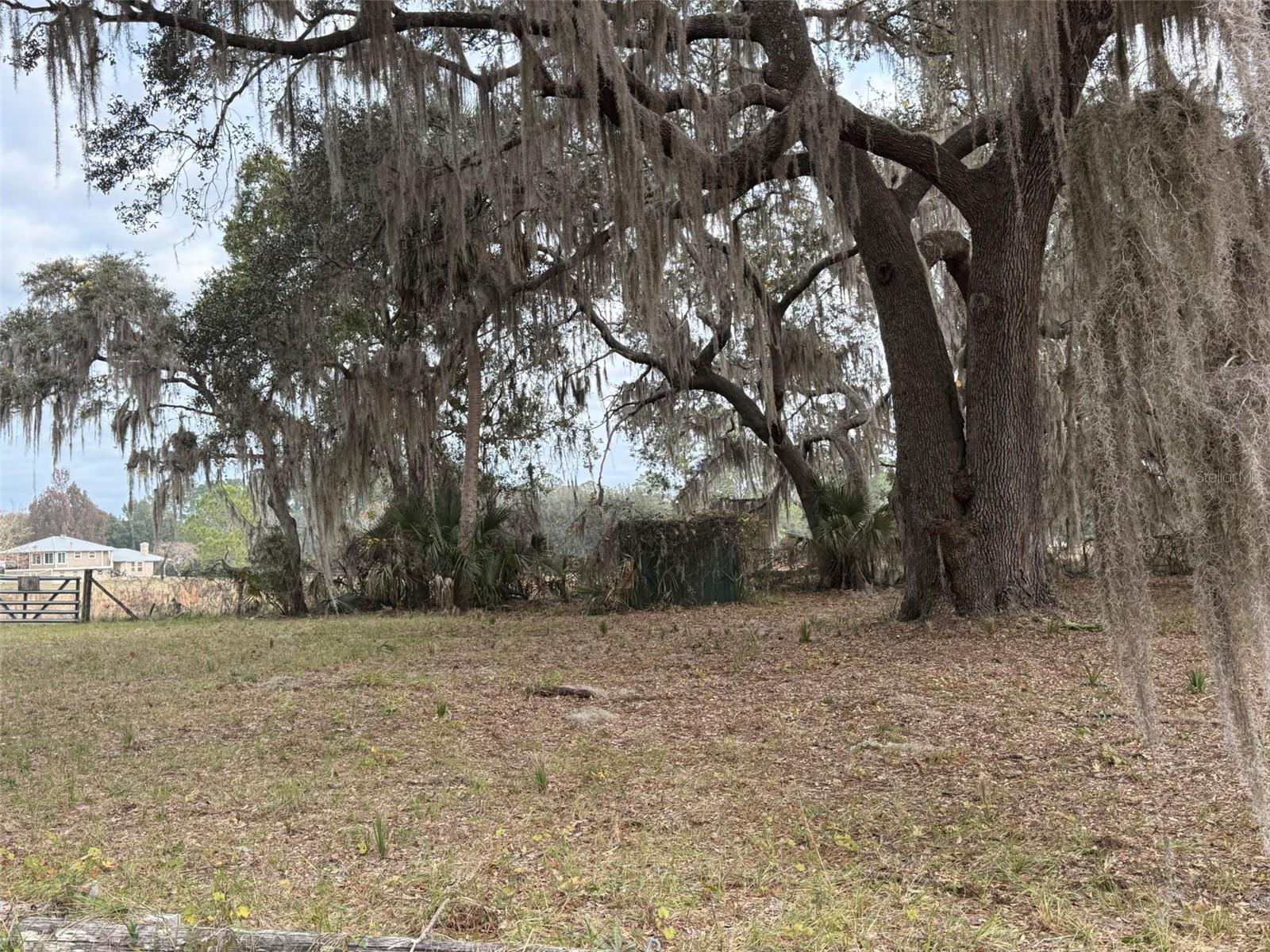 29605 FULLERVILLE RD, DELAND, FL — photo 11