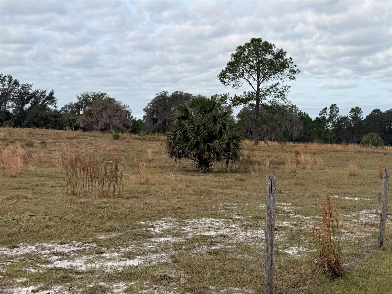 29605 FULLERVILLE RD, DELAND, FL — photo 27