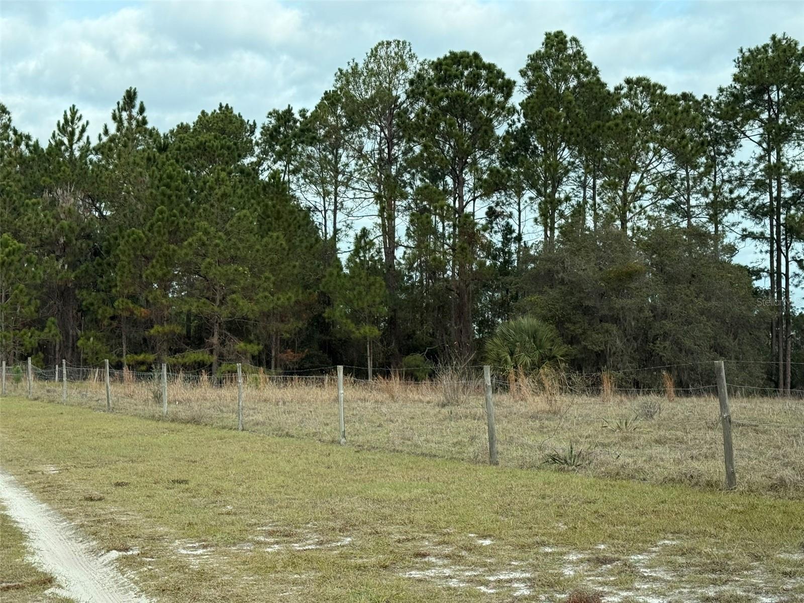 29605 FULLERVILLE RD, DELAND, FL — photo 34