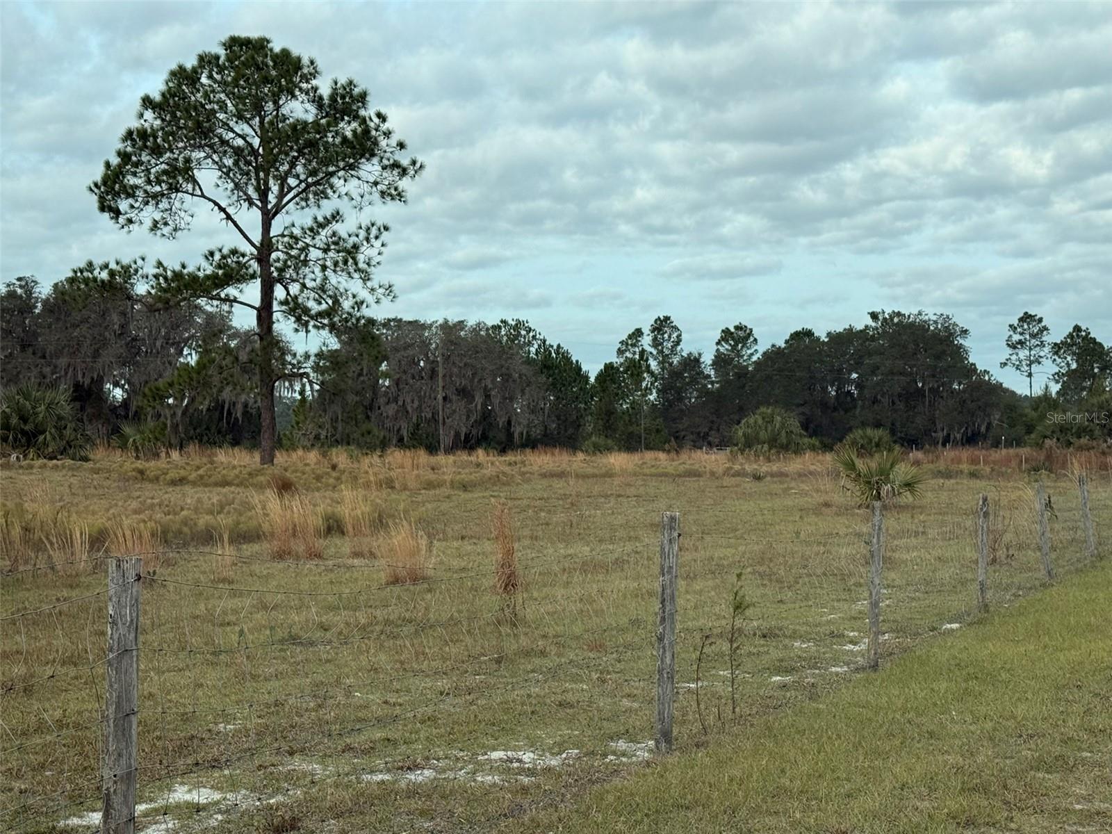 29605 FULLERVILLE RD, DELAND, FL — photo 35