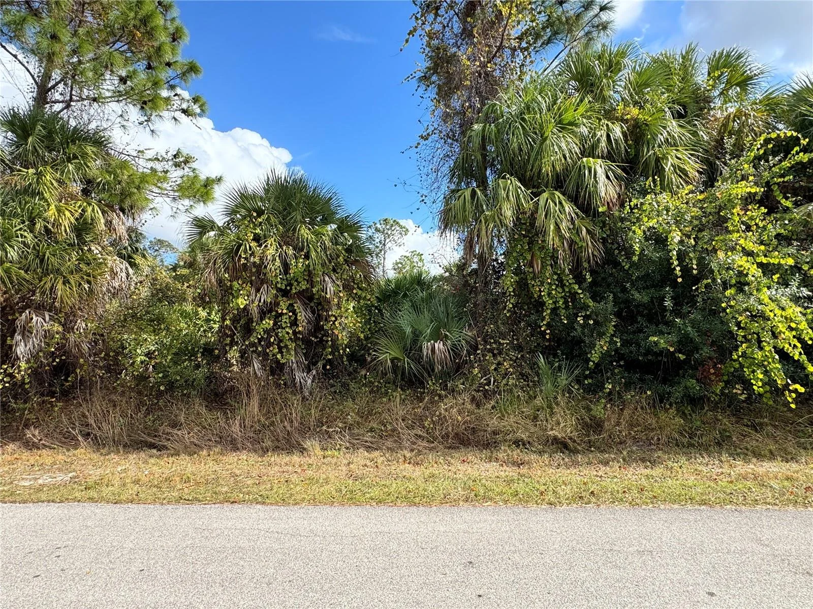 SAPELO AVE, NORTH PORT, FL — photo 4