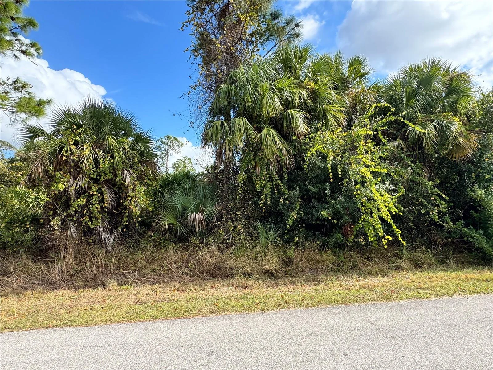 SAPELO AVE, NORTH PORT, FL — photo 6