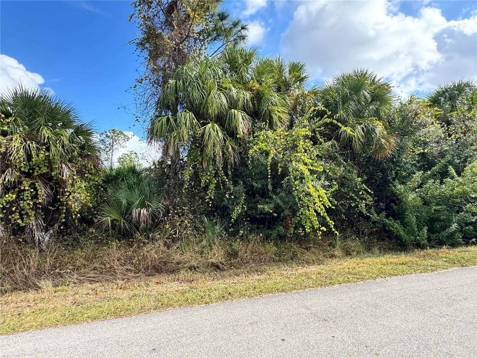SAPELO AVE, NORTH PORT, FL — photo 8