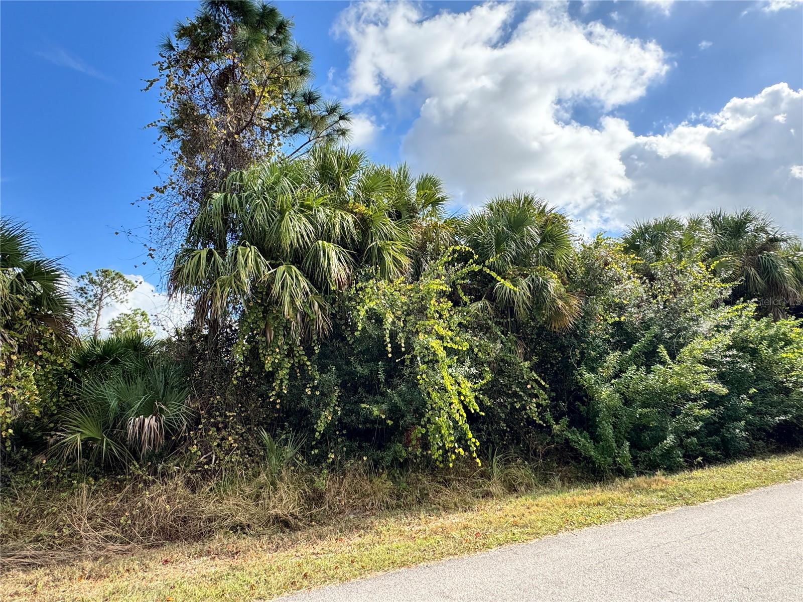 SAPELO AVE, NORTH PORT, FL — photo 9