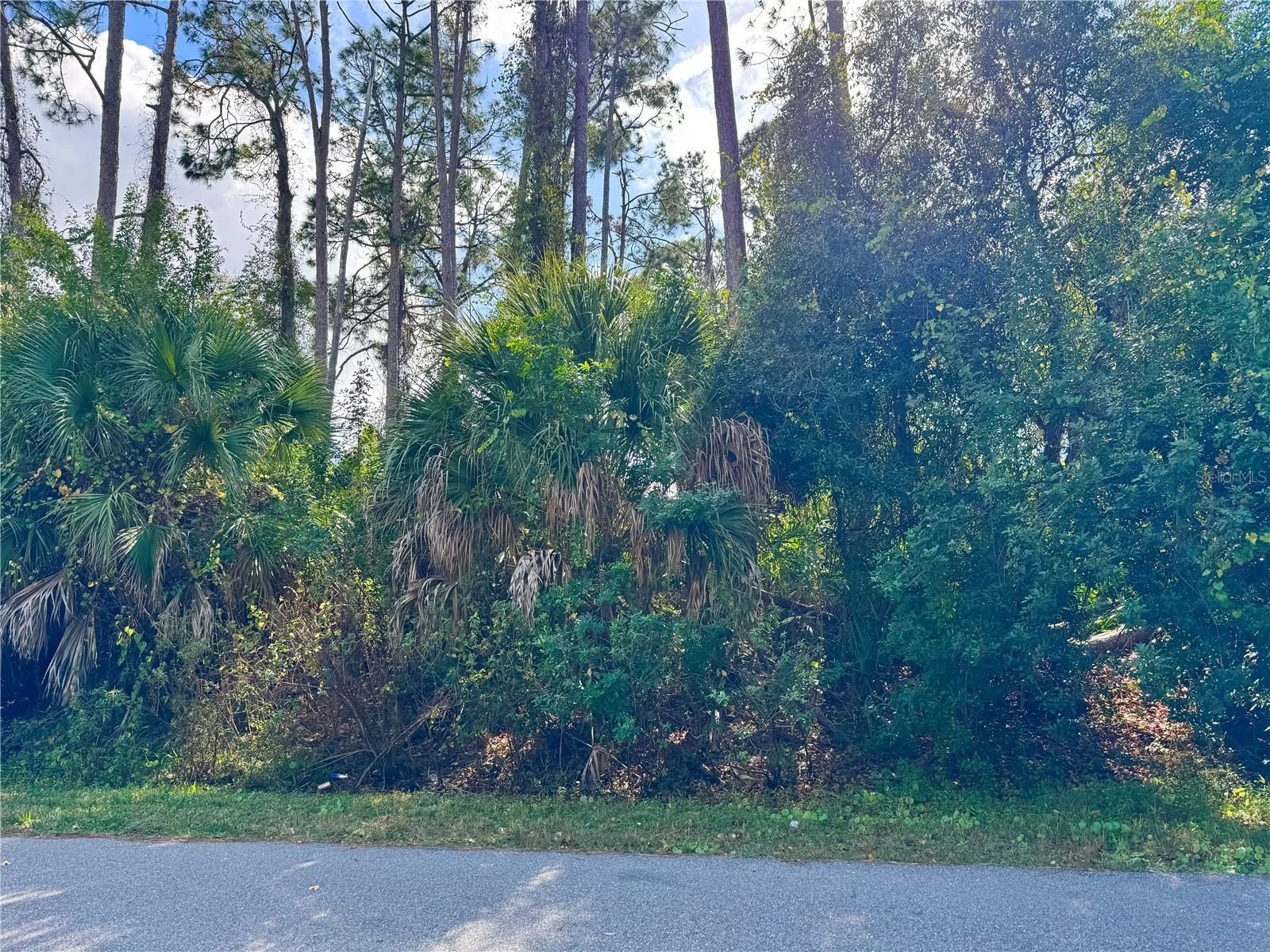 TISHMAN AVE, NORTH PORT, FL — photo 6