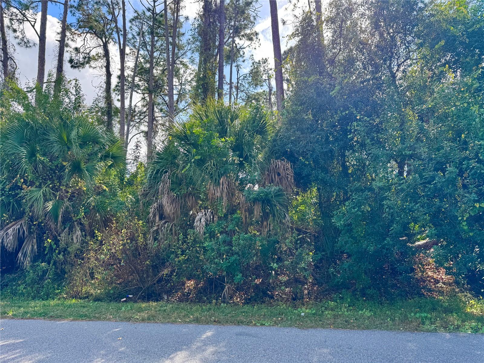 TISHMAN AVE, NORTH PORT, FL — photo 5