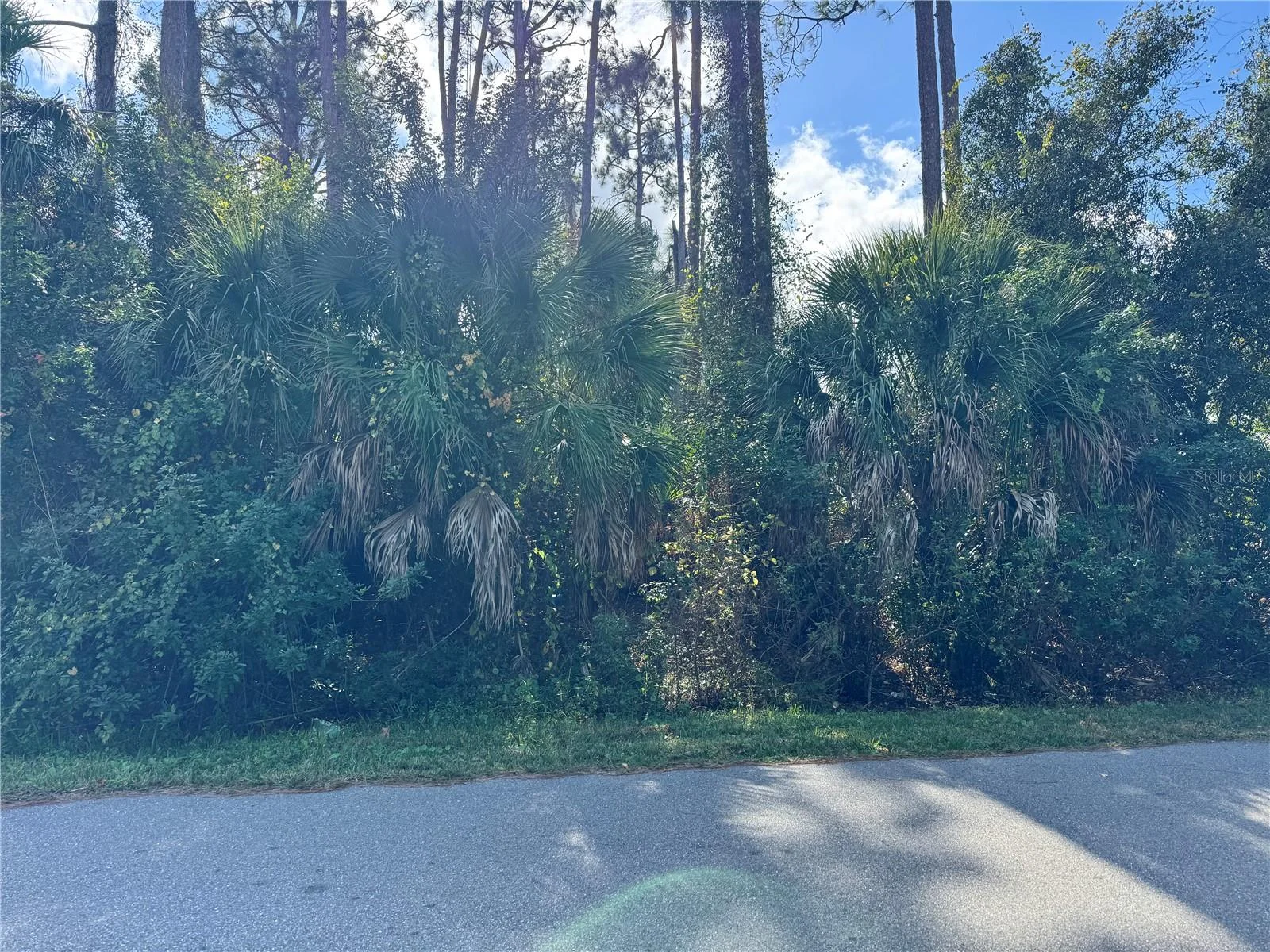 TISHMAN AVE, NORTH PORT, FL — photo 8