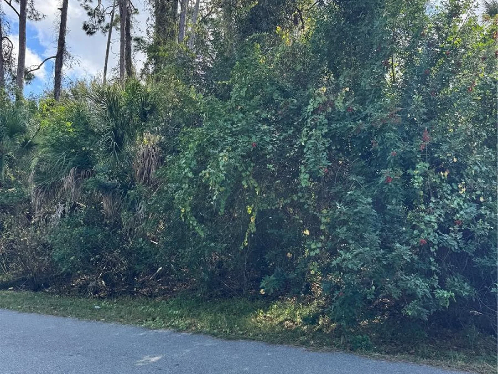 TISHMAN AVE, NORTH PORT, FL — photo 13
