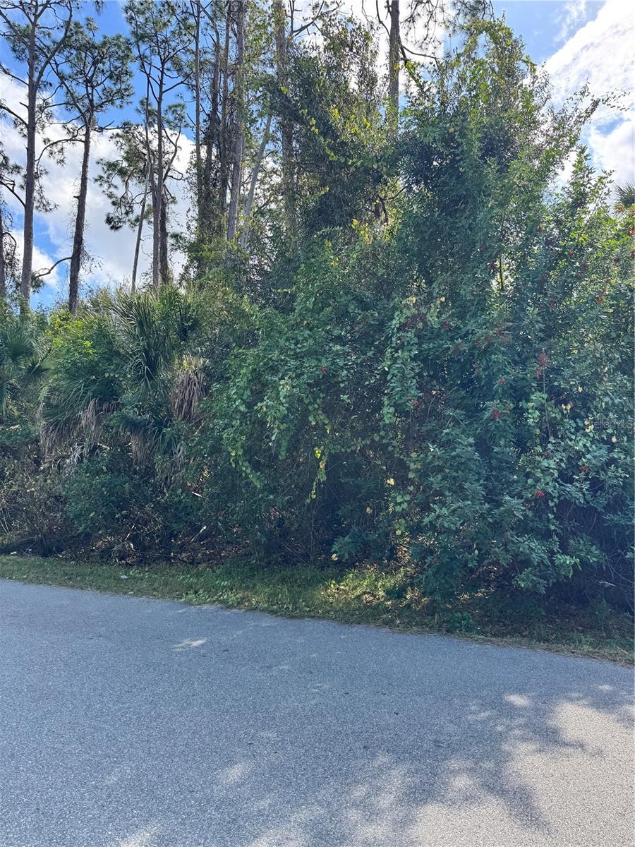TISHMAN AVE, NORTH PORT, FL — photo 14