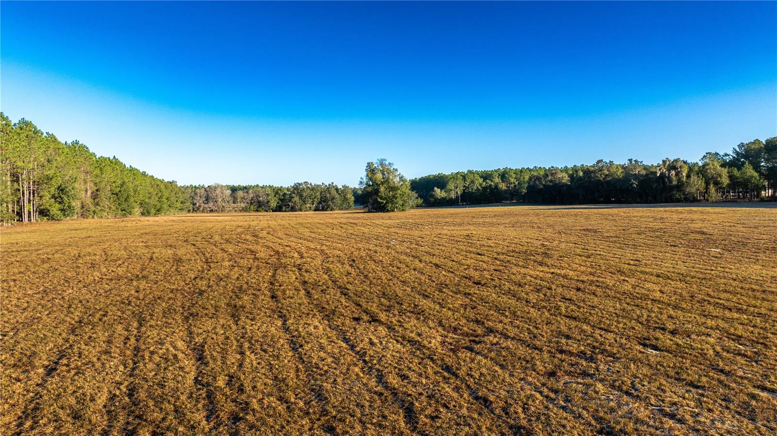00 NW 180TH ST, WILLISTON, FL — photo 3