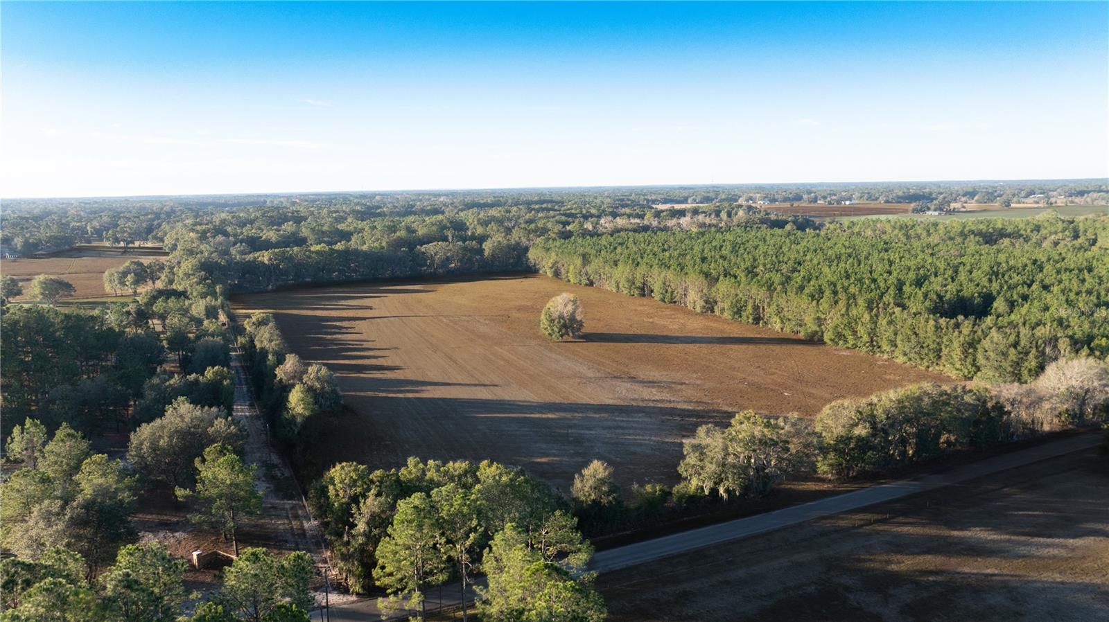 00 NW 180TH ST, WILLISTON, FL — photo 11